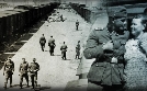 Die SS - Macht und Mythos | TV-Programm von zdfinfo