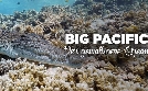 Big Pacific | TV-Programm von zdf_neo