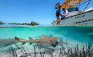 Ein perfekter Planet | TV-Programm von 3sat