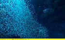 Atlantik - Ozean der Extreme | TV-Programm von 3sat