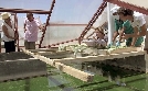 Mit Kompass und Köpfchen auf hoher See | TV-Programm von arte