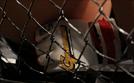 Mixed Martial Arts | TV-Programm von SPORT 1