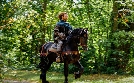 Große Mythen aufgedeckt | TV-Programm von phoenix