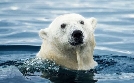 Abenteuer Wildnis | TV-Programm von BR