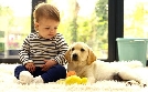 Die geheime Welt der Hunde | TV-Programm von phoenix