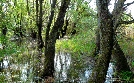 Donau - Lebensader Europas | TV-Programm von 3sat