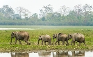 Brahmaputra | TV-Programm von phoenix