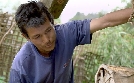 Die Bienenflüsterer | TV-Programm von arte