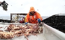 Fang des Lebens - Der gefährlichste Job Alaskas | TV-Programm von DMAX