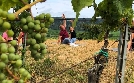 Tobis Städtetrip - XXL | TV-Programm von hr