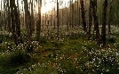Tausend Moore, hundert Seen und ein Wald | TV-Programm von RBB