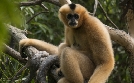 Bronx Zoo - Tierpark der Superlative | TV-Programm von TLC