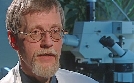 Medical Detectives - Geheimnisse der Gerichtsmedizin | TV-Programm von VOX