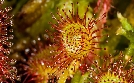natur exclusiv | TV-Programm von BR