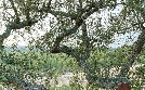 Naturparks in Portugal | TV-Programm von ARD alpha HD