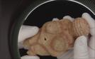Rätselhafte Venus von Willendorf - Die Frau in der Steinzeit | TV-Programm von zdfinfo