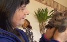 Wilde Berliner | TV-Programm von RBB