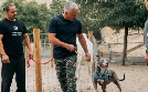Cesar Millan: Guter Mensch, guter Hund | TV-Programm von sixx