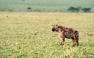 Kenia - Dem Regen hinterher | TV-Programm von arte