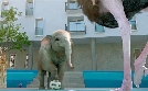 Athleticus | TV-Programm von arte