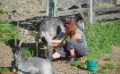 Wilde Schweiz II: Das Calancatal | TV-Programm von 3sat