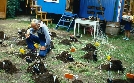 Löwenzahn | TV-Programm von zdf_neo