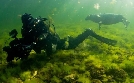 Expeditionen ins Tierreich | TV-Programm von NDR