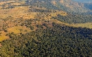 Afrika von oben | TV-Programm von arte