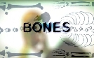 Bones: Die Knochenjägerin S02E01 Ein Toter auf den Gleisen | Mo 10.06. 20:15 RTL SUPER