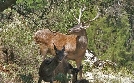 natur exclusiv | TV-Programm von BR