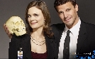 Bones - Die Knochenjägerin S04E04 Der Finger im Vogelnest | Mo 09.09. 20:15 RTL SUPER