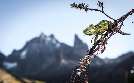 Terra X | TV-Programm von 3sat
