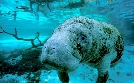 Expeditionen | TV-Programm von 3sat