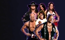 Biography: WWE Legends  | Do 13.02. 20:15 ProSieben MAXX