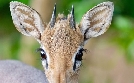 Namibias Naturwunder | TV-Programm von 3sat