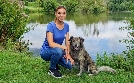 Der Hundeprofi - Rütters Team | TV-Programm von VOX