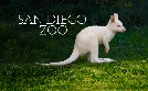 San Diego Zoo | TV-Programm von TLC
