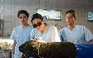 Tierärztin Dr. Mertens | TV-Programm von ONE HD