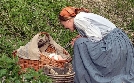 Die drei Königskinder | TV-Programm von Das Erste