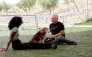 Cesar Millan: Guter Mensch, guter Hund | TV-Programm von sixx
