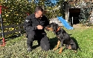 Schweizer Hundegeschichten | TV-Programm von 3sat