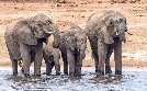 Die wilden Flüsse Afrikas | TV-Programm von phoenix