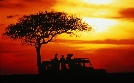 Die wilden Flüsse Afrikas | TV-Programm von phoenix