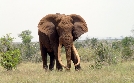 Afrika: Kontinent der Vielfalt | TV-Programm von 3sat