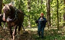 Großstadtförsterin - Berliner Besonderheiten | TV-Programm von mdr