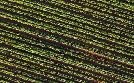 Terra X | TV-Programm von zdf_neo