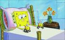 SpongeBob Schwammkopf | TV-Programm von Nickelodeon