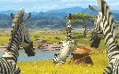 Madagascar 2 | TV-Programm von SAT.1