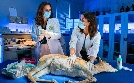 Tierärztin Dr. Mertens | TV-Programm von ONE HD