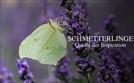 Schmetterlinge - Quelle der Inspiration | TV-Programm von arte